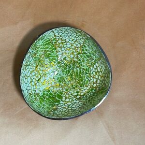 Decorative Coconut Bowl